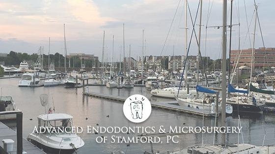 Advanced Endodontics & Microsurgery of Stamford PC