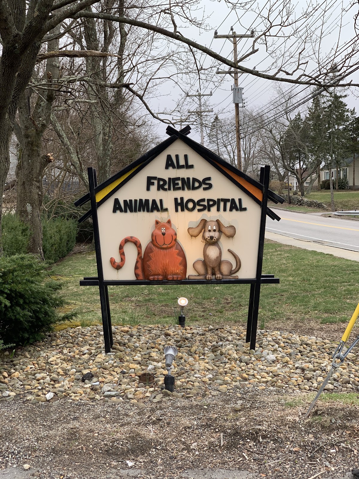All Friends Animal Hospital