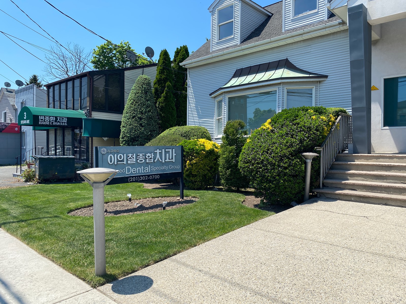 Alpine Dental Implant