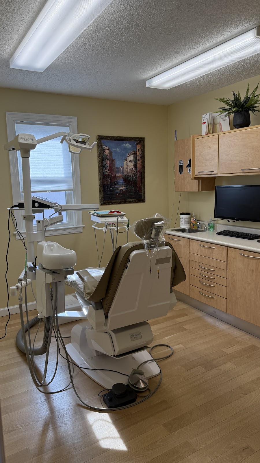 Amerodental LLC: Lucian Vatafu DDS and Gabriela Vatafu DDS