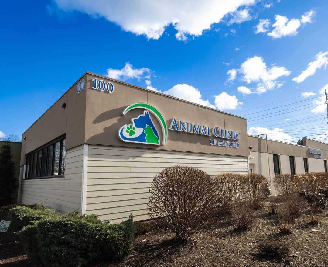 Animal Clinic of Milford