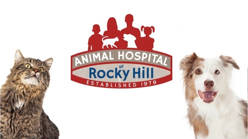 Animal Hospital of Rocky Hill