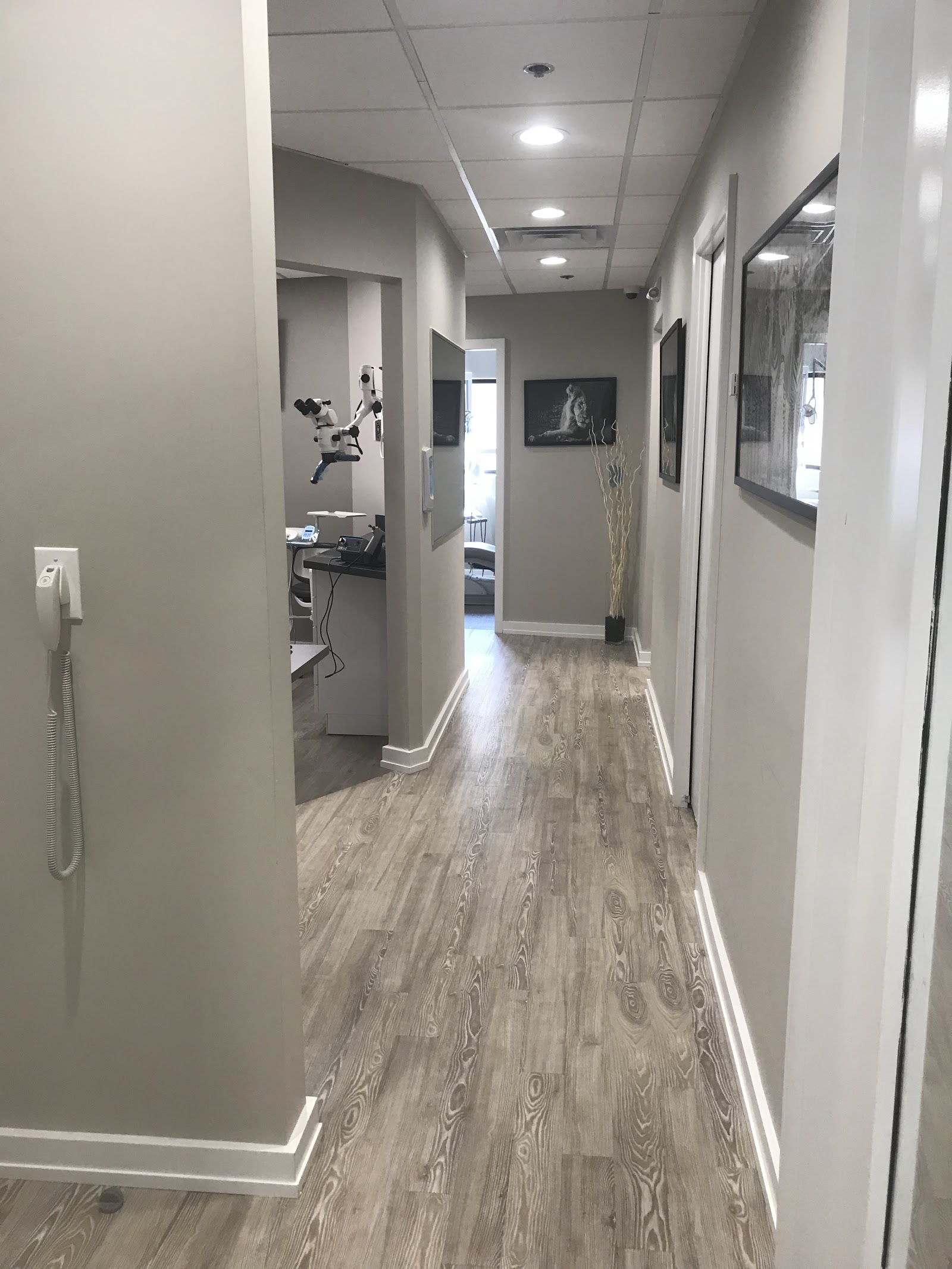 Apex Endodontics, LLC