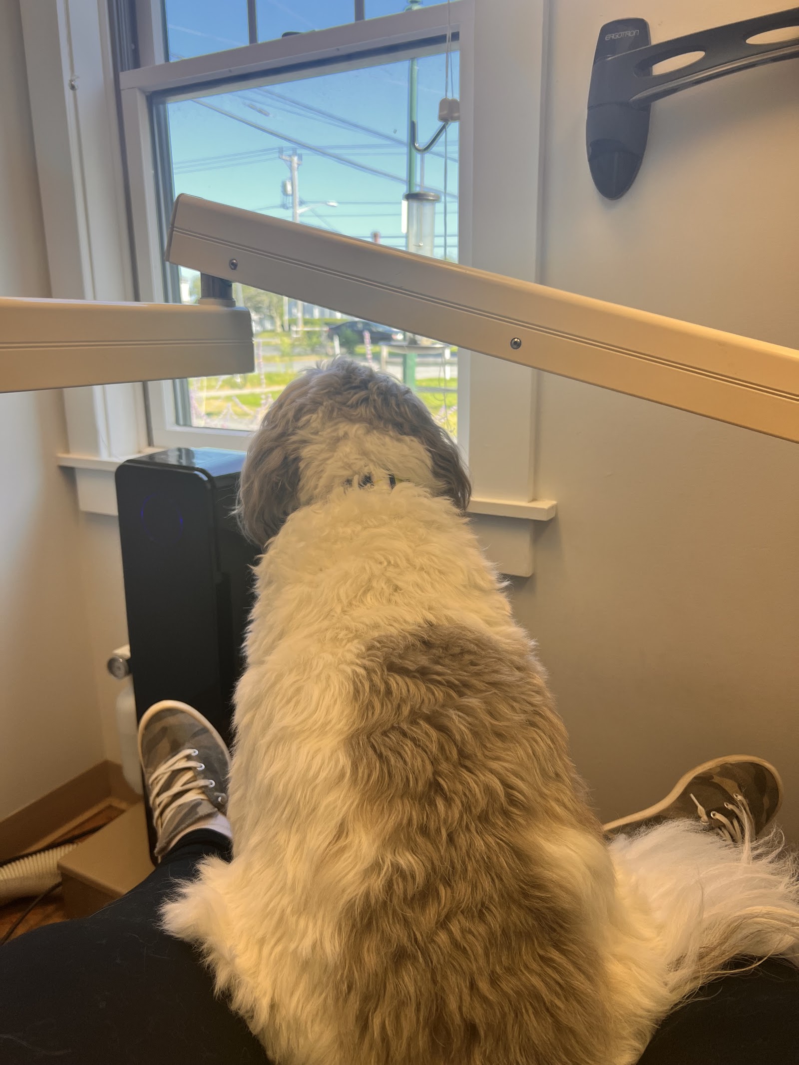 Barnstable Dental Associates