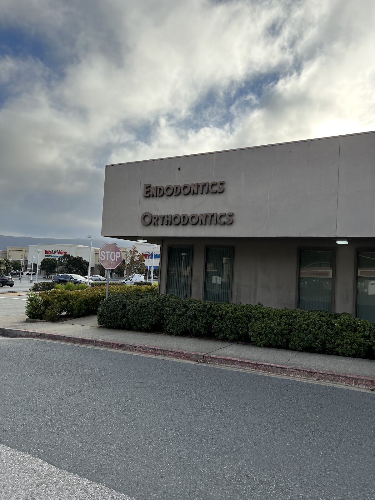 Bay Area Endodontics