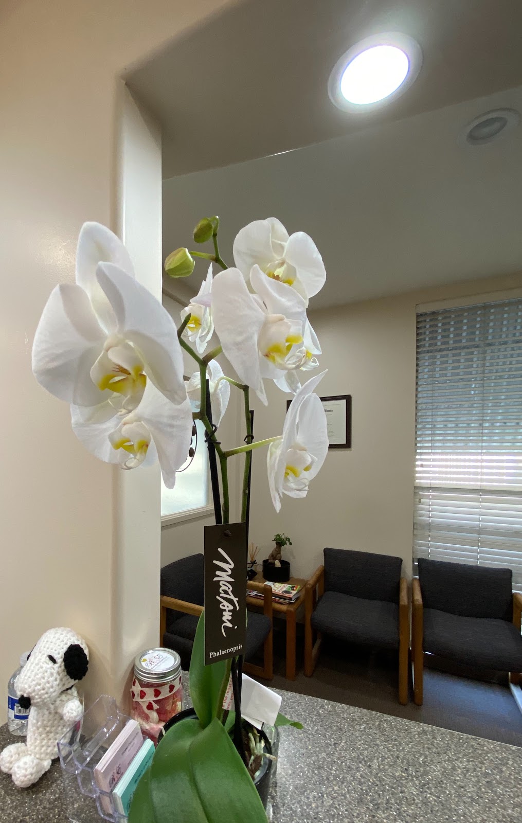 Bay Endodontics - Root Canal Specialists