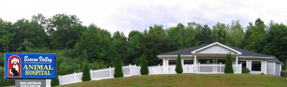 Beacon Valley Animal Hospital