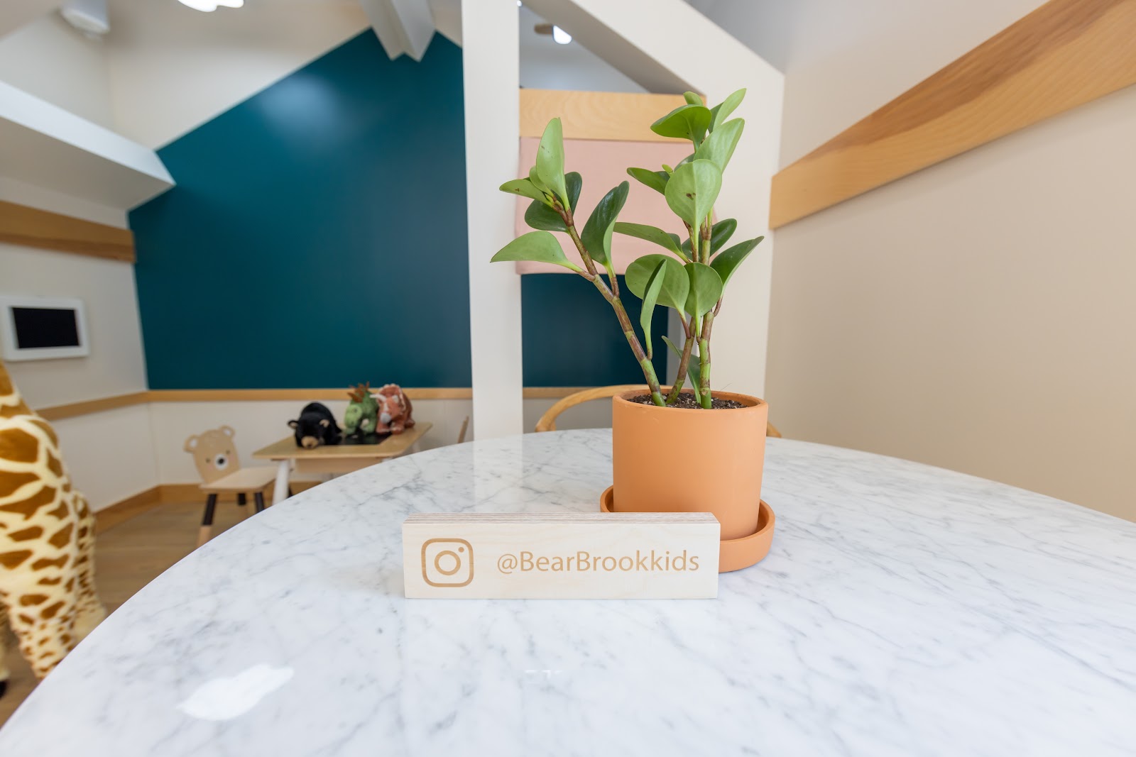 Bear Brook Pediatric Dentistry