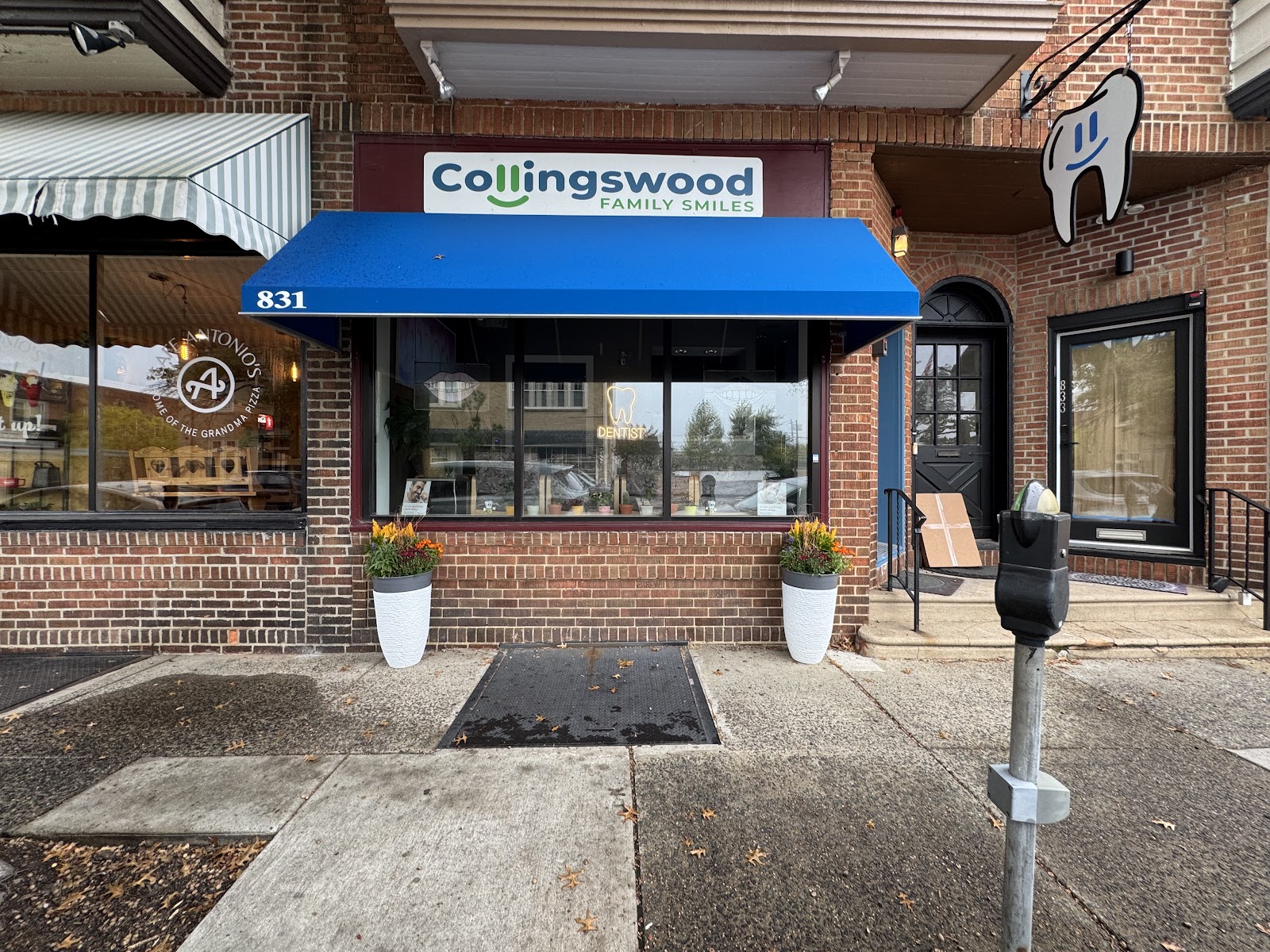 Collingswood Family Smiles