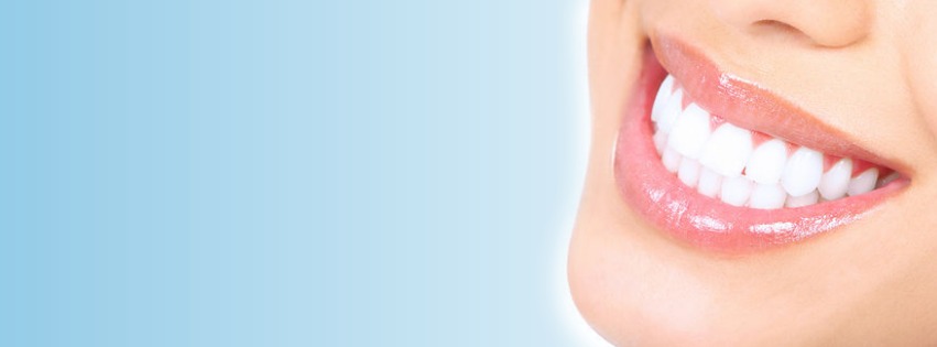 Lodi Family Dental Care: Stave Mitchell L DDS