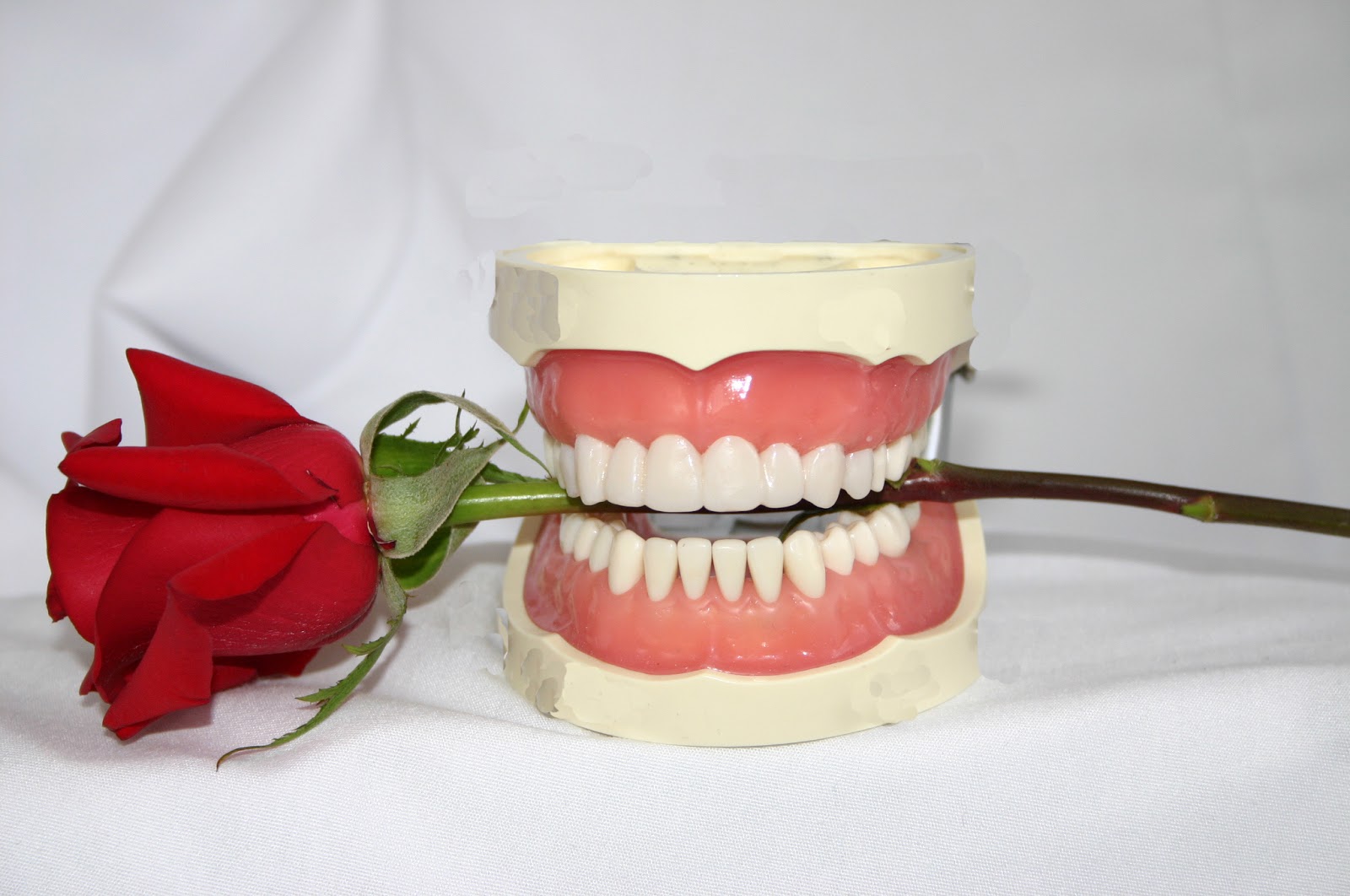 Pittsfield Denture Center