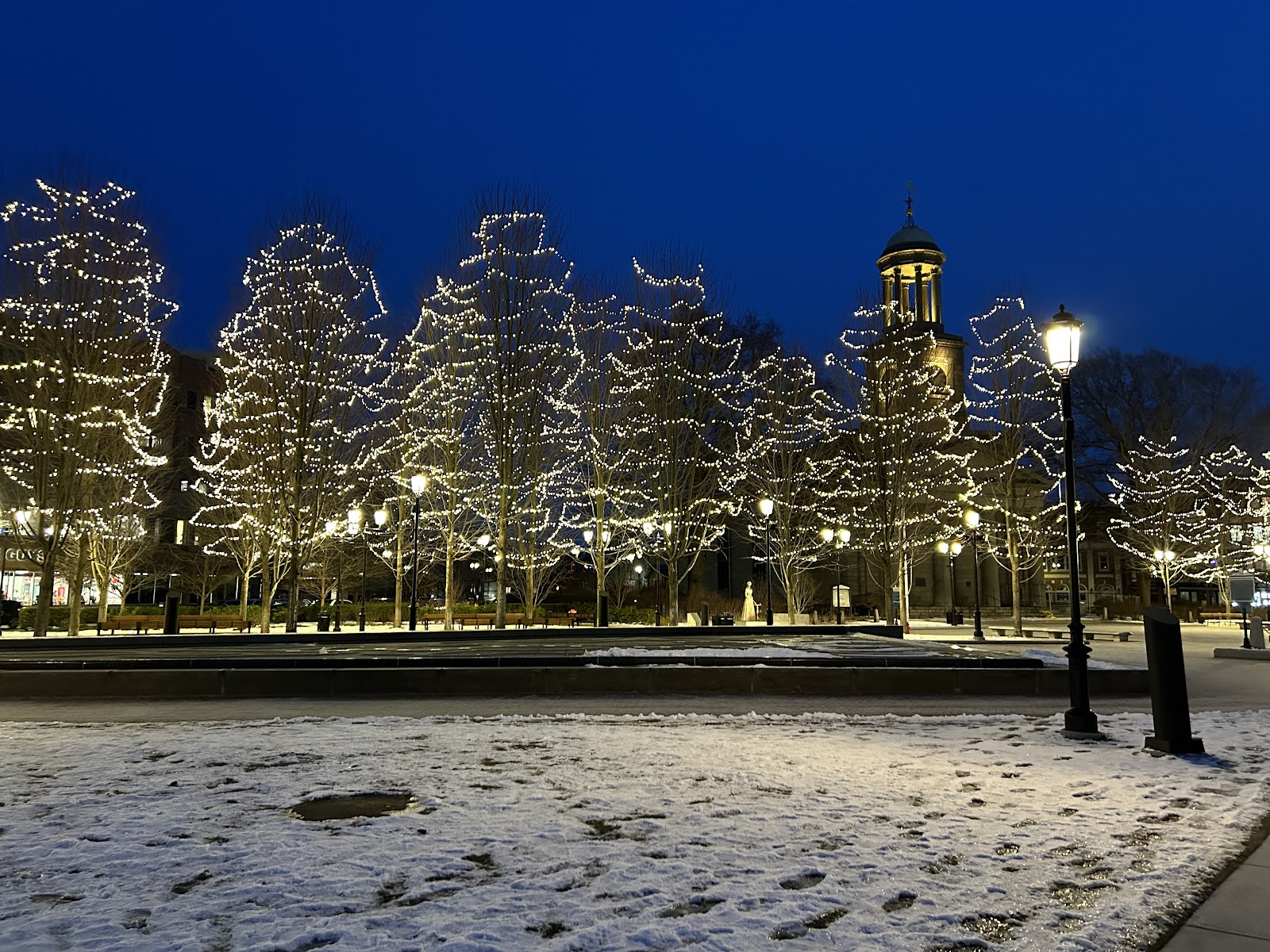 Quincy Center for Endodontics