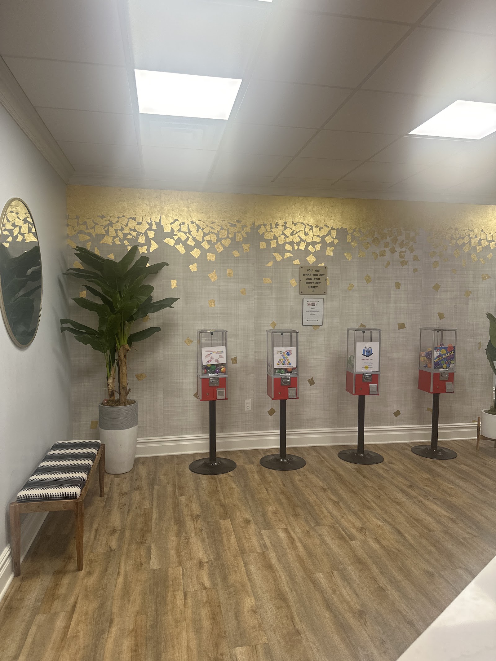 The Dental Family & Junior